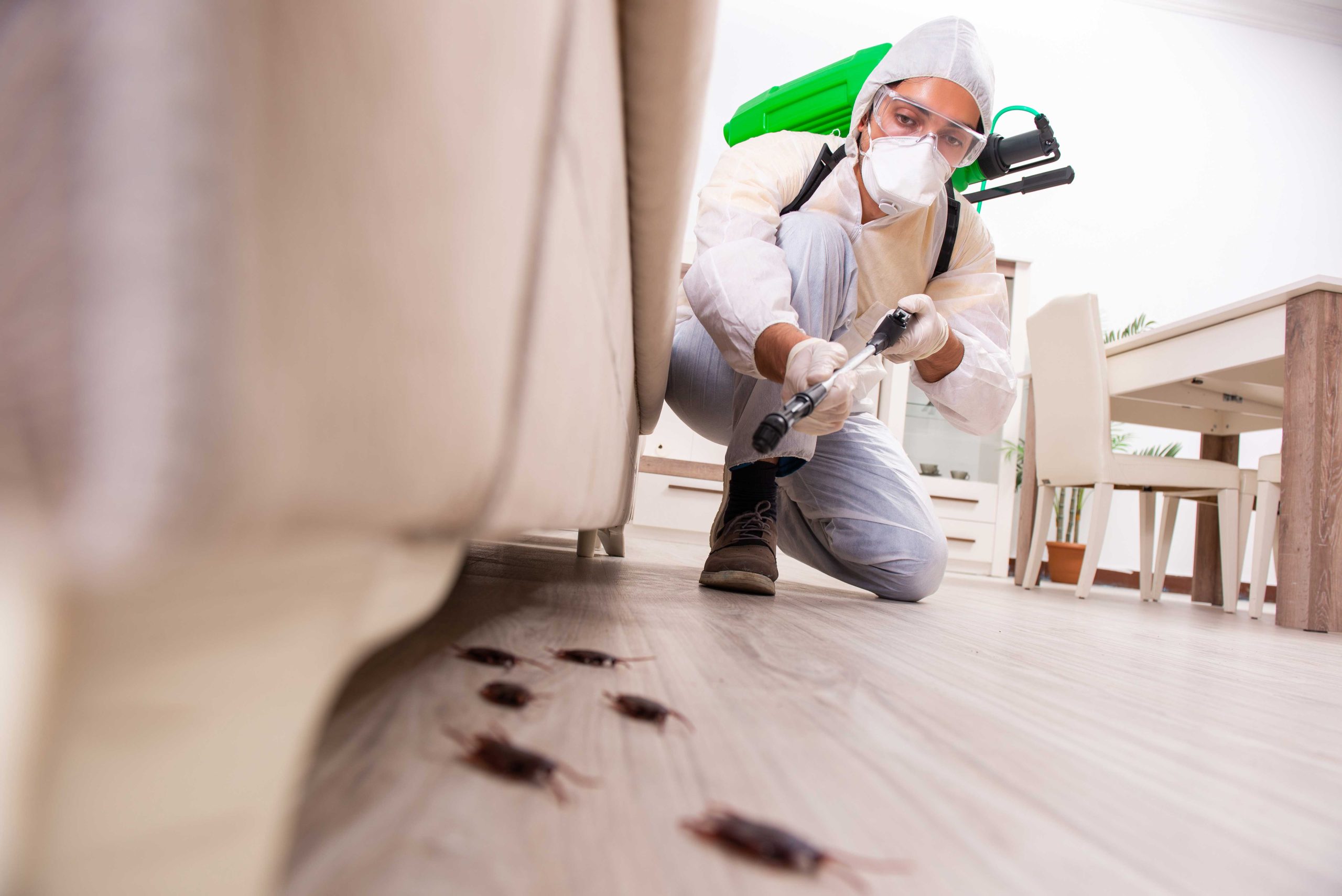 Pest-Control experts in Nashville specializing in prevention and eradication of various pests. Don't let pests damage your property and endanger your health.